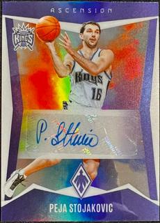 Peja Stojakovic