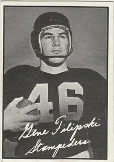Gene Filipski
