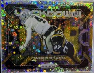Cameron Heyward