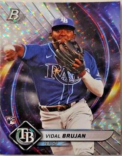 Vidal Brujan