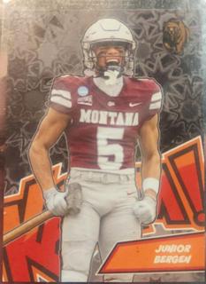 Jalen Brown