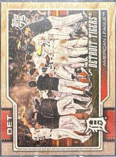 Detroit Tigers
