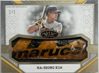 Ha-Seong Kim