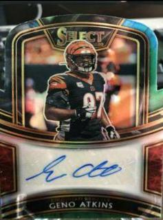 Geno Atkins
