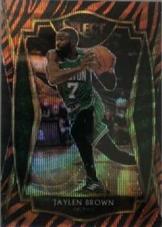 Jaylen Brown