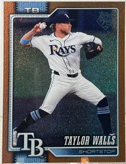 Taylor Walls