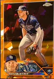 Taylor Walls