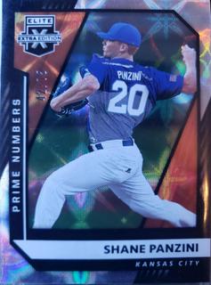 Shane Panzini