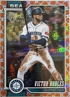 Victor Robles