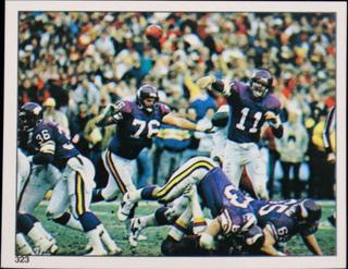 Minnesota Vikings Action