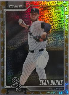 Sean Burke