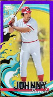 Johnny Bench