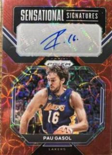 Pau Gasol