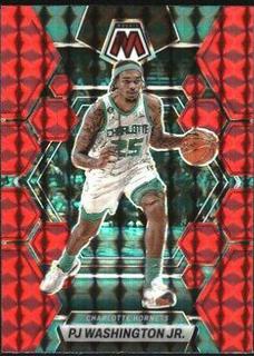 PJ Washington Jr.