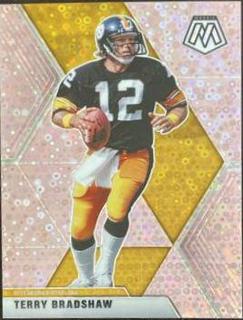 Terry Bradshaw