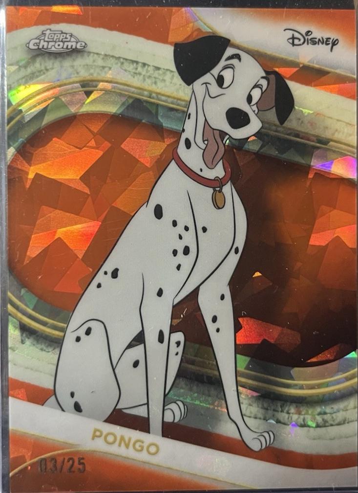 Pongo [Orange Refractor] #101