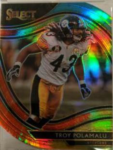 Troy Polamalu