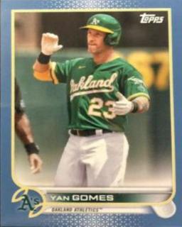 Yan Gomes
