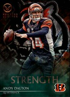 Andy Dalton