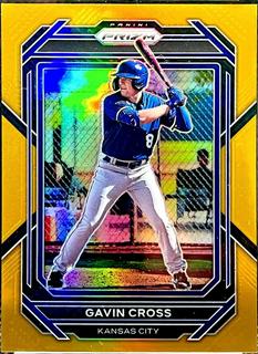 Gavin Cross