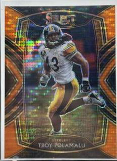 Troy Polamalu