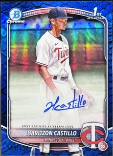 Haritzon Castillo