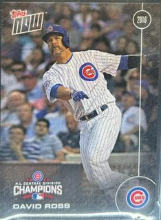 David Ross