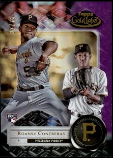 Roansy Contreras