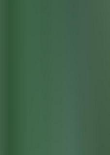 Randall Cunningham