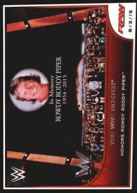 The WWE Roster #71 Wrestling Cards 2016 Topps WWE Road to Wrestlemania