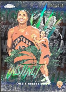 Collin Murray-Boyles