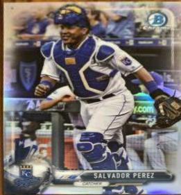 Salvador Perez