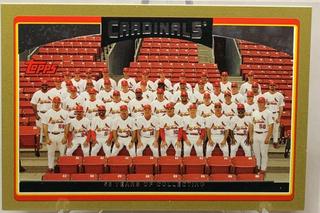 Cardinals Team