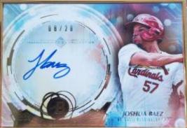 Joshua Baez [SP Variation] #TCAV-JB
