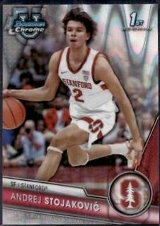 Andrej Stojakovic