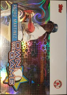 Pedro Martinez Own the Game