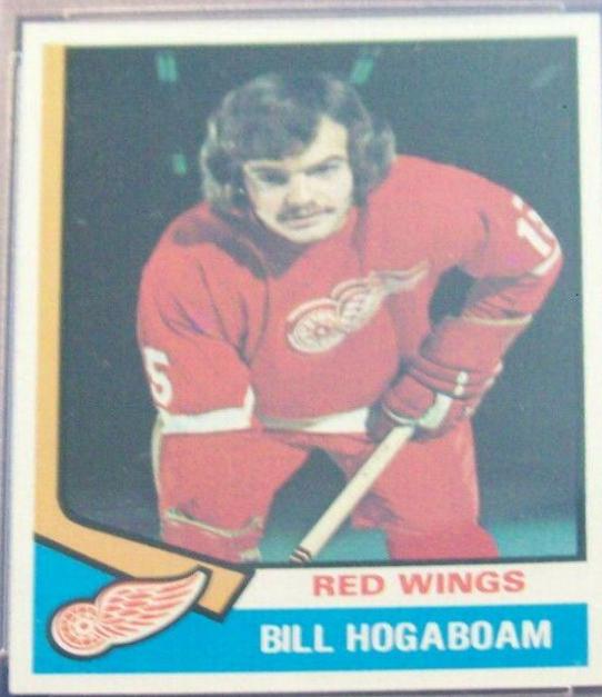 Bill Hogaboam #116 1974-75 Topps Hockey