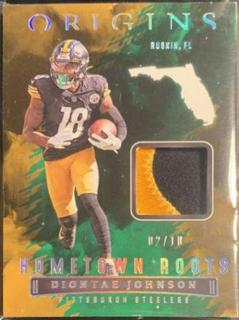 Diontae Johnson