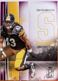 Troy Polamalu