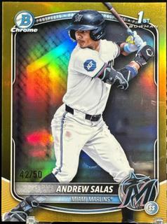 Andrew Salas