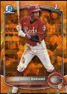 Naibel Mariano