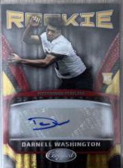 Darnell Washington