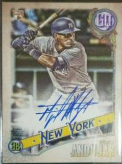Miguel Andujar