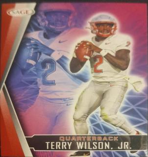 Terry Wilson JR.