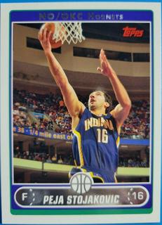 Peja Stojakovic