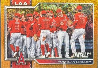 Team Card