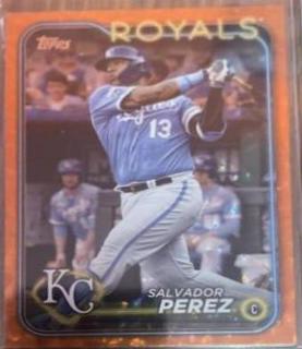 Salvador Perez