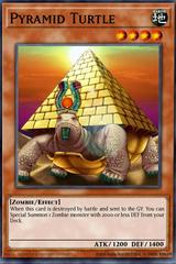 Pyramid Turtle BLGG-EN053