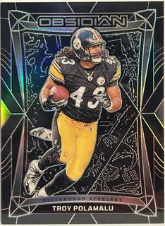 Troy Polamalu