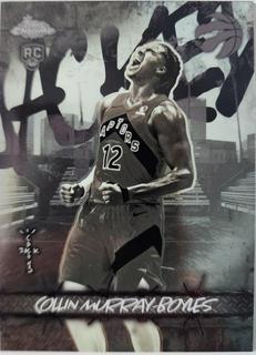 Collin Murray-Boyles